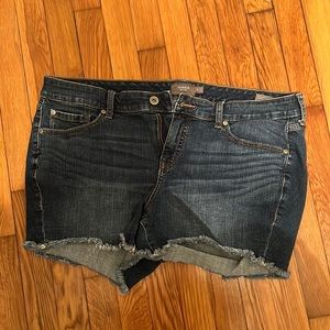 Dark Torrid Shorts